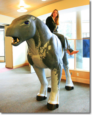 Trisha Johansen sits atop Swampy the Swamphorse