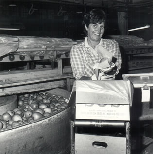 Susan Reid packing pears
